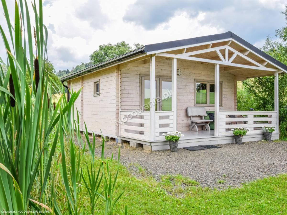 Domek Nad Rozlewiskiem Kudowa-Zdrój Exterior foto